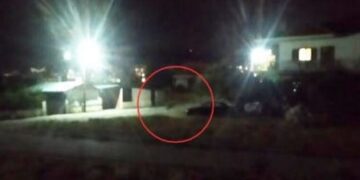 Αρκούδες κυκλοφορούσαν μέσα στο Άργος Ορεστικό το βράδυ της Τρίτης – Μεγάλη αναστάτωση και κινητοποίηση