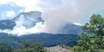 Ο Δήμος Πρεσπών για την επιτυχή κατάσβεση της πυρκαγιάς στο Βροντερό – Οι ευχαριστίες προς το Πυροσβεστικό Σώμα