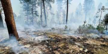 «Ζωοτροφές για το χειμώνα στα καμένα της Εύβοιας  – Αρκαδίας – Ηλείας» συγκεντρώνουν Φιλοπρόοδος – Γεωργοκτηνοτρόφοι και Επιμελητήριο Κοζάνης