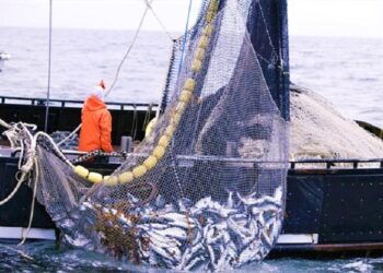 AΝΚΟ: Ιδιωτικές επενδύσεις για την ανάπτυξη αλιευτικών περιοχών στο επίκεντρο ενημερωτικής εκδήλωσης στα Κρανίδια στις 22/9