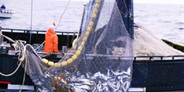 AΝΚΟ: Ιδιωτικές επενδύσεις για την ανάπτυξη αλιευτικών περιοχών στο επίκεντρο ενημερωτικής εκδήλωσης στα Κρανίδια στις 22/9