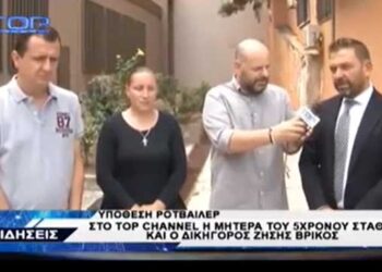 Υπόθεση Ροτβάιλερ: Η μητέρα του 5χρονου Στάθη για τη δικαστική απόφαση: “Δεν μου ζήτησαν μια συγνώμη” – Τι λέει και ο δικηγόρος της Ζήσης Βρίκος -VIDEO