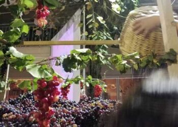 Θρακικά Επιλήνια 2021: Η όμορφη εκδήλωση της Θρακικής Εστίας Εορδαίας για τη γιορτή του τρύγου