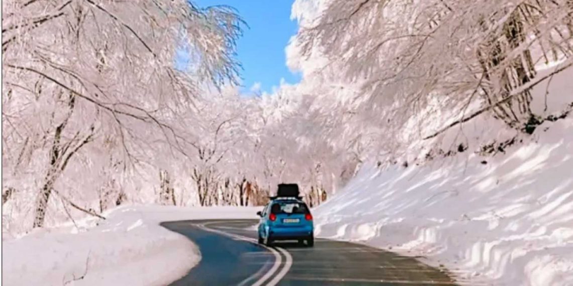 Φλώρινα: Η ονειρική ομορφιά ενός χιονισμένου δρόμου έγινε το απόλυτο viral