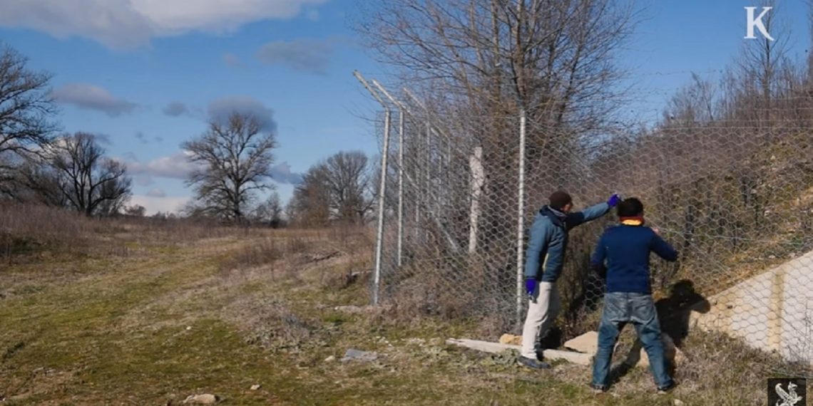 Καστοριά: Το όμορφο βίντεο της Καθημερινής για την προστασία της καφέ αρκούδας στην Εγνατία Οδό