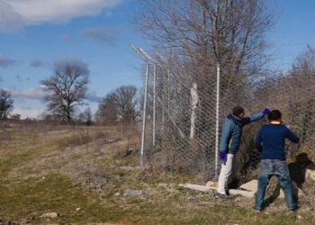 Καστοριά: Το όμορφο βίντεο της Καθημερινής για την προστασία της καφέ αρκούδας στην Εγνατία Οδό