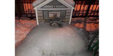 Η παγωνιά έφτασε πριν την….. ΕΛΠΙΣ στην Φλώρινα (Φώτο)