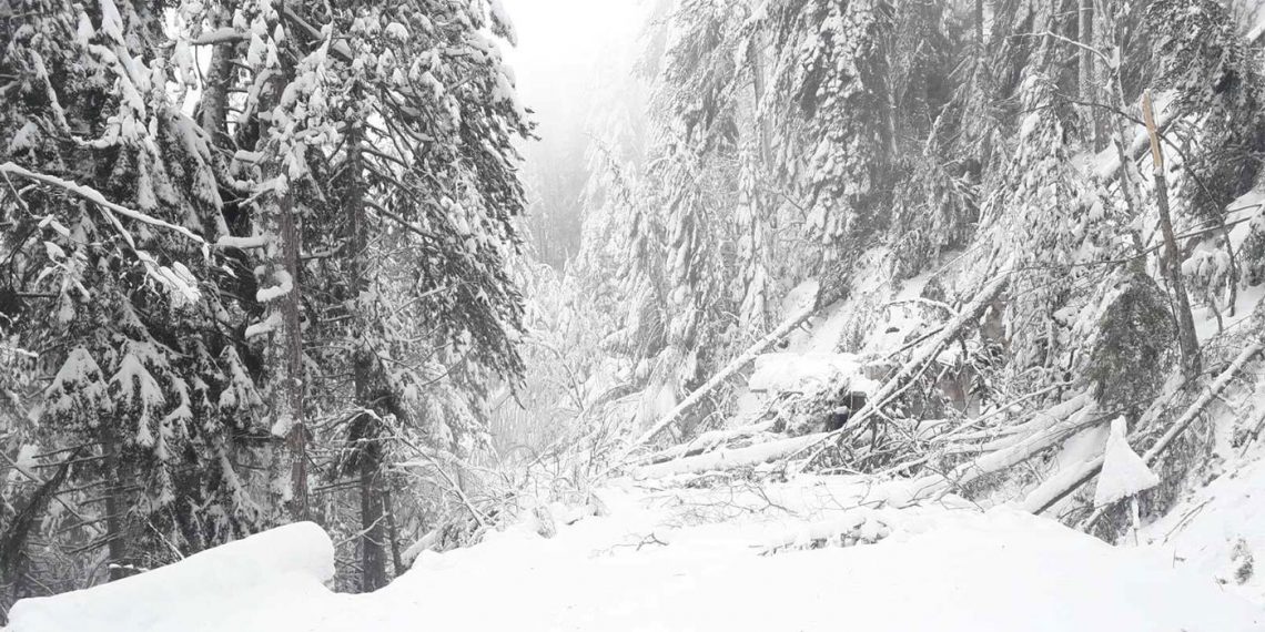 Βελβεντό-Πιέρια: Ο “Διομήδης” στο δρόμο για το Καταφύγι – Αλπικό τοπίο!