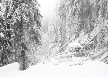 Βελβεντό-Πιέρια: Ο “Διομήδης” στο δρόμο για το Καταφύγι – Αλπικό τοπίο!