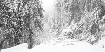 Βελβεντό-Πιέρια: Ο “Διομήδης” στο δρόμο για το Καταφύγι – Αλπικό τοπίο!