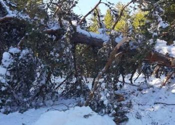Βελβεντό: 9η μέρα αποχιονισμού στο δρόμο από Αγία Κυριακή για το Καταφύγι