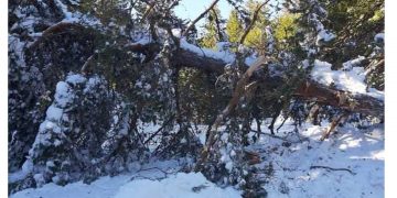 Βελβεντό: 9η μέρα αποχιονισμού στο δρόμο από Αγία Κυριακή για το Καταφύγι