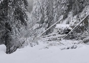 Δήμος Βελβεντού: Διορθώθηκε το πρόβλημα με τον αγωγό ύδρευσης και σύντομα δεν θα υπάρχει πρόβλημα- Συνεχής προσπάθεια για την πρόσβαση και επισκευή της ηλεκτροδότησης στο Καταφύγι