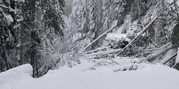 Δήμος Βελβεντού: Διορθώθηκε το πρόβλημα με τον αγωγό ύδρευσης και σύντομα δεν θα υπάρχει πρόβλημα- Συνεχής προσπάθεια για την πρόσβαση και επισκευή της ηλεκτροδότησης στο Καταφύγι