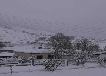 Λευκό “χαλί” και στα Σιδερά Κοζάνης