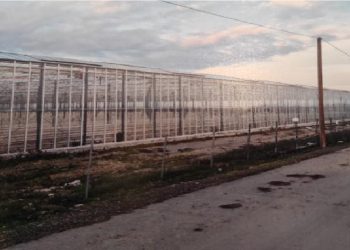 Αγρότες και κάτοικοι Δρεπάνου κατά δήμου Κοζάνης για την επένδυση: “Ο υποτιθέμενος επιχειρηματίας άφησε καμμένη γη στην Αλεξάνδρεια – Έχουμε πόλεμο” (φωτο- video)