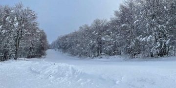 Σε πλήρη λειτουργία το Χιονοδρομικό Κέντρο Βιτσίου Καστοριάς το Σαββατοκύριακο