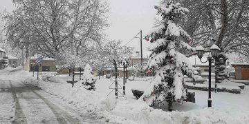 Συνεχίζει “Ο Διομήδης” να στολίζει την Βλάστη Εορδαίας