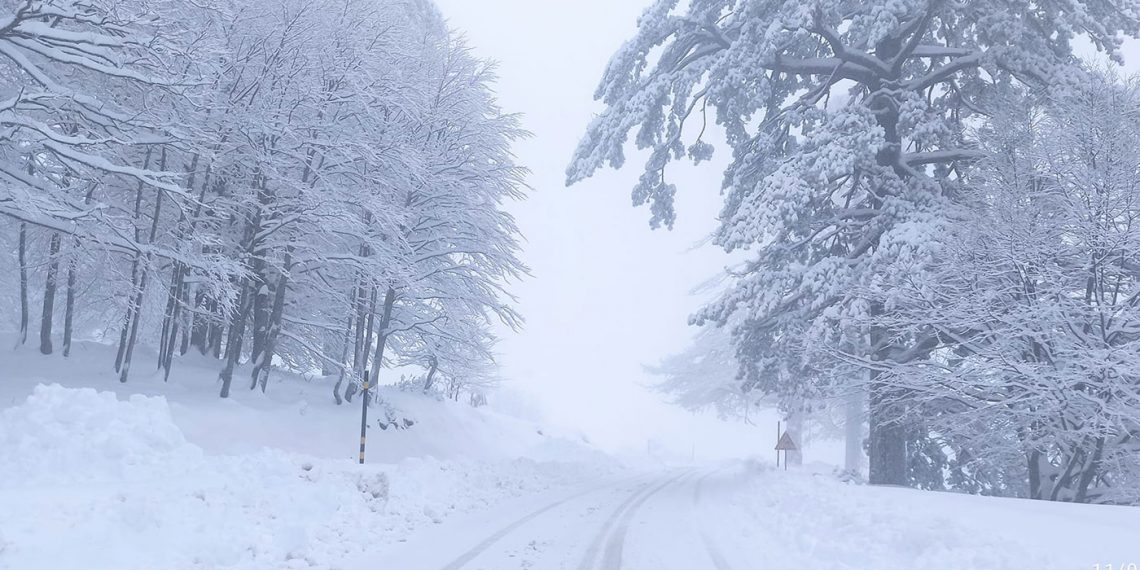 Χιόνι… Βουνό στη Βασιλίτσα- Πανέμορφες και κατάλευκες εικόνες