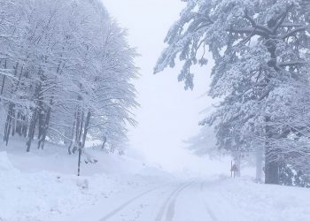 Χιόνι… Βουνό στη Βασιλίτσα- Πανέμορφες και κατάλευκες εικόνες