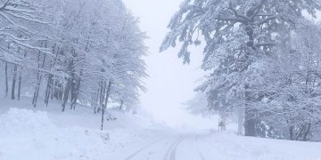 Χιόνι… Βουνό στη Βασιλίτσα- Πανέμορφες και κατάλευκες εικόνες