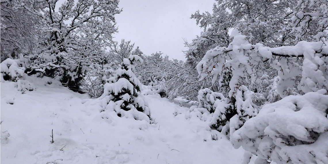 Όταν η φύση φοράει τα γιορτινά της στα υπέροχα χιονισμένα μονοπάτια του Προφήτη Ηλία Ασβεστόπετρας