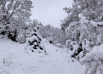 Όταν η φύση φοράει τα γιορτινά της στα υπέροχα χιονισμένα μονοπάτια του Προφήτη Ηλία Ασβεστόπετρας