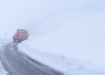Χιόνι… Βουνό στη Βασιλίτσα- Πανέμορφες και κατάλευκες εικόνες