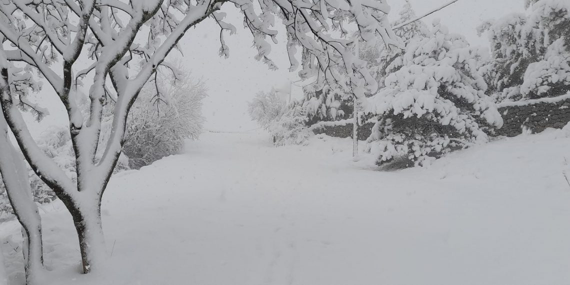 Πολύ χιόνι στο ψηλό Αϊ- Λιά στην Κοζάνη