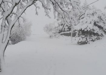 Πολύ χιόνι στο ψηλό Αϊ- Λιά στην Κοζάνη