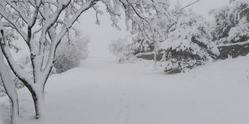 Πολύ χιόνι στο ψηλό Αϊ- Λιά στην Κοζάνη