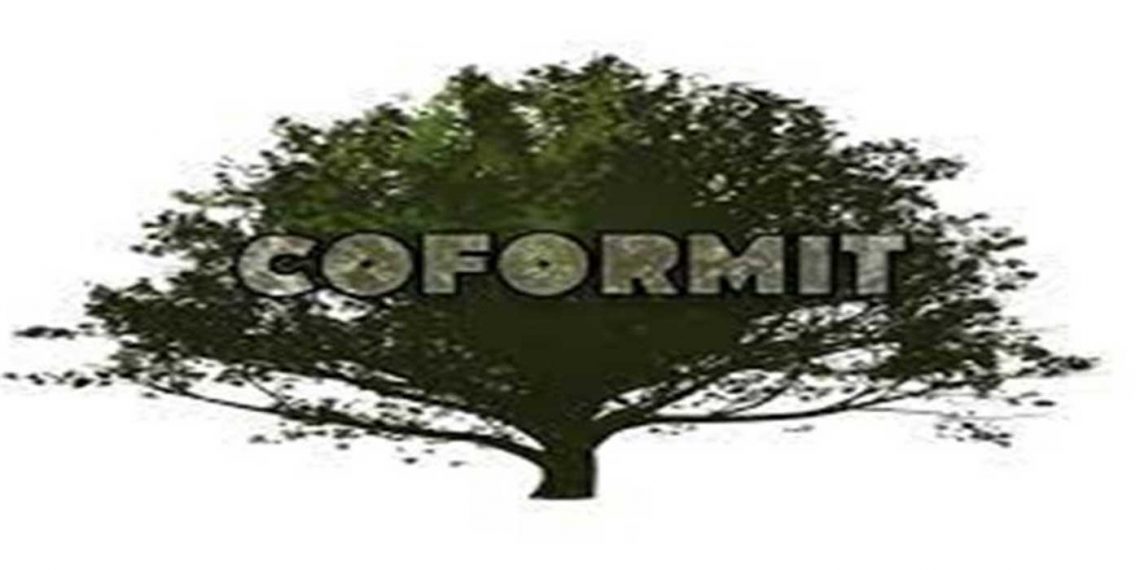 Σημαντική η συνεισφορά των δενδροφυτεύσεων στις αποκατεστημένες εκτάσεις του ΛΚΔΜ