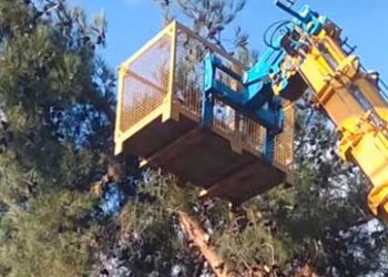 Απομακρύνονται τα γέρικα και επικίνδυνα δέντρα από το πάρκο Χρηστίδη (βίντεο)