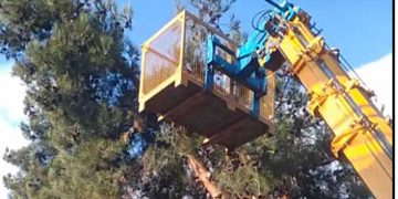 Απομακρύνονται τα γέρικα και επικίνδυνα δέντρα από το πάρκο Χρηστίδη (βίντεο)