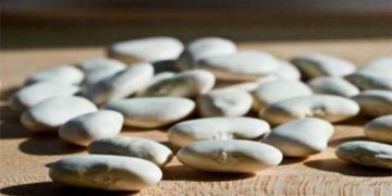 Αποζημιώσεις 530 ευρώ το στρέμμα για γίγαντες και 420 για φασόλια πλακέ αναμένουν στην Καστοριά