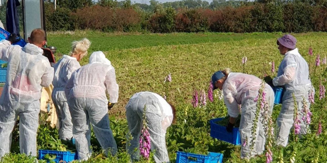 Και δεύτερη αίτηση στο ΣΔΑΜ καταθέτει η ΛΙΓΝΙΤΩΡΥΧΕΙΑ ΑΜΥΝΤΑΙΟΥ ΑΕ