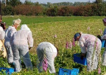 Και δεύτερη αίτηση στο ΣΔΑΜ καταθέτει η ΛΙΓΝΙΤΩΡΥΧΕΙΑ ΑΜΥΝΤΑΙΟΥ ΑΕ