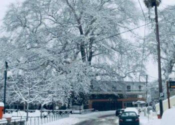 Σαν ζωγραφιά ο  χιονισμένος Πλάτανος της Λευκοπηγής (φωτό)