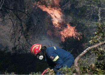 Συστήνονται Ειδικές Μονάδες Δασικών Επιχειρήσεων με την πρόσληψη 500 «δασοκομάντος»