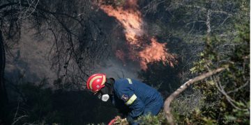 Συστήνονται Ειδικές Μονάδες Δασικών Επιχειρήσεων με την πρόσληψη 500 «δασοκομάντος»