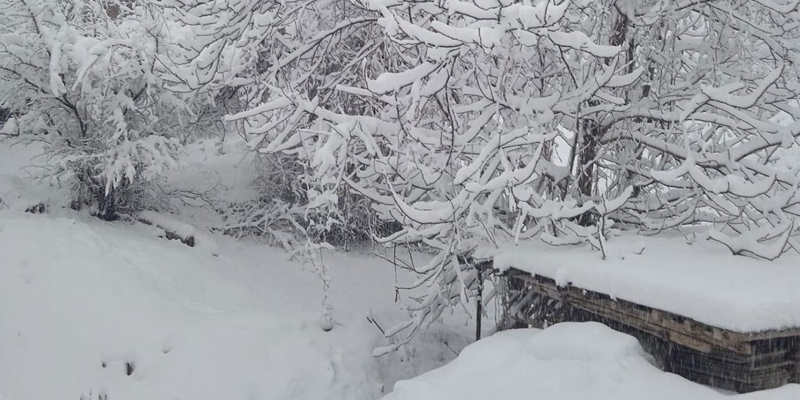 Μαγική εικόνα από το χιονισμένο Λέχοβο
