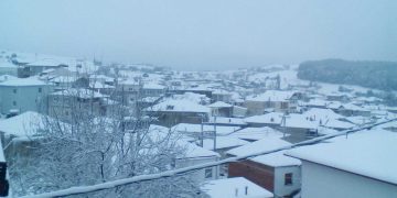 Υπέροχες εικόνες από το χιονισμένο Λιβαδερό (φωτογραφίες)