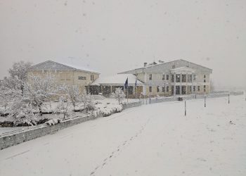 Κατάλευκο Άργος Ορεστικό