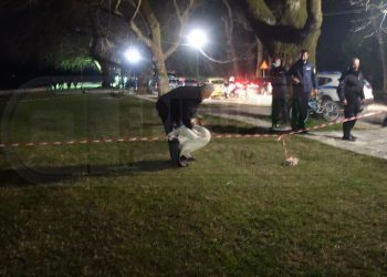 Ιωάννινα:Επιχείρηση… στην παραλίμνιο για τον κύκνο της Καστοριάς