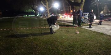 Ιωάννινα:Επιχείρηση… στην παραλίμνιο για τον κύκνο της Καστοριάς