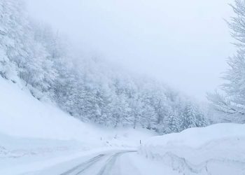 Κατάλευκο τοπίο στο Χιονοδρομικό κέντρο Βασιλίτσας