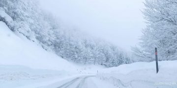 Κατάλευκο τοπίο στο Χιονοδρομικό κέντρο Βασιλίτσας