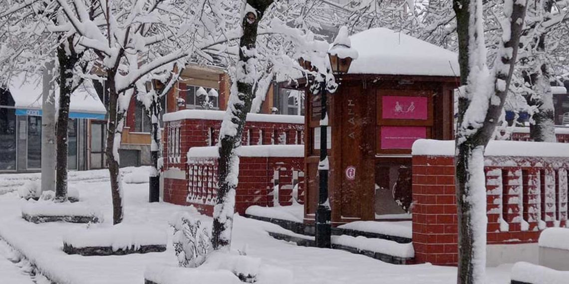 Αιανή στα λευκά (φώτο)