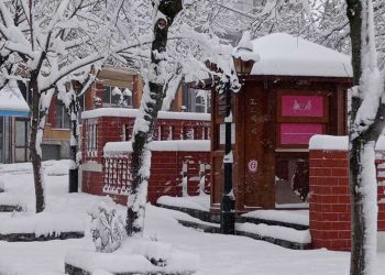 Αιανή στα λευκά (φώτο)