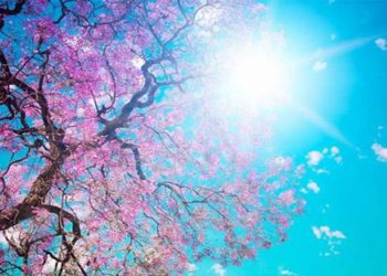 Ανοιξιάτικος ο καιρός το τριήμερο της 25ης Μαρτίου